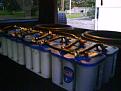 Click image for larger version

Name:	DSC00639.jpg
Views:	561
Size:	83.7 KB
ID:	584437